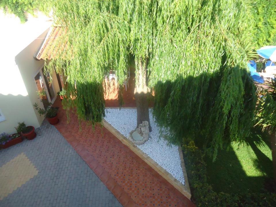 Sofia Studios & Apts Айия-Марина-Неа-Кидония Экстерьер фото
