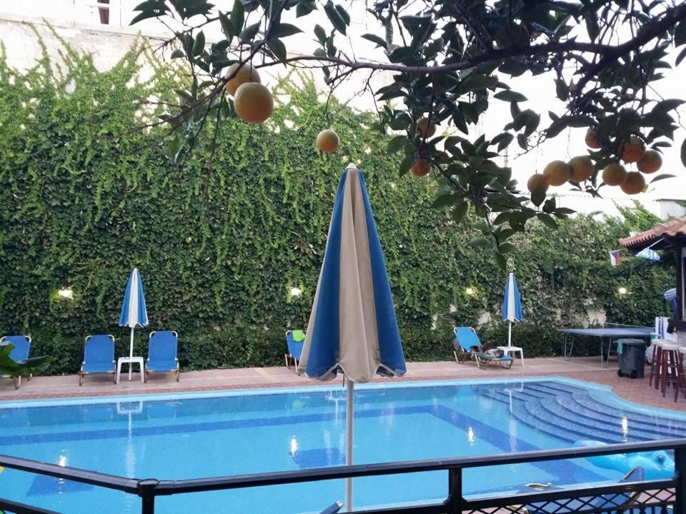 Sofia Studios & Apts Айия-Марина-Неа-Кидония Экстерьер фото